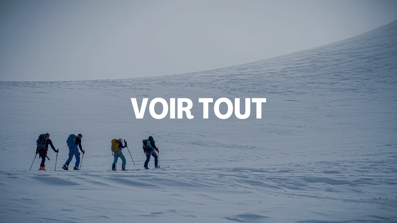 VOIR TOUT